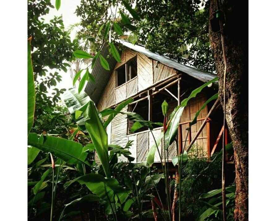 Bambu Hostel Давид Экстерьер фото