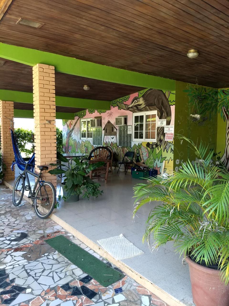 Bambu Hostel Давид Экстерьер фото