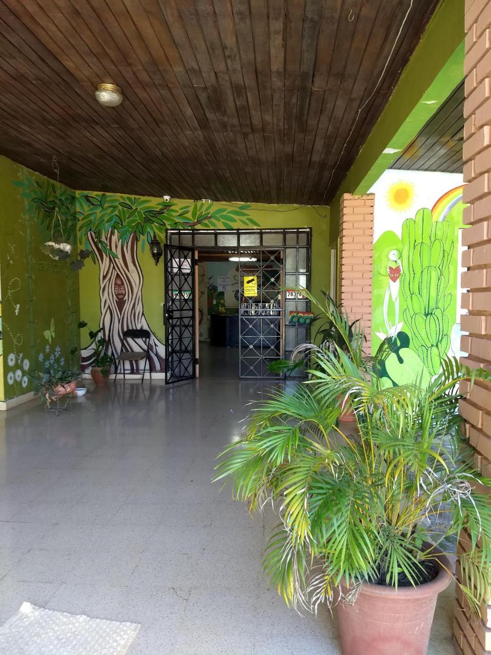 Bambu Hostel Давид Экстерьер фото